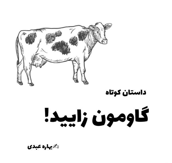 عکس گاو خنگول