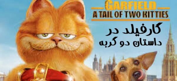 عکس گربه گارفیلدی