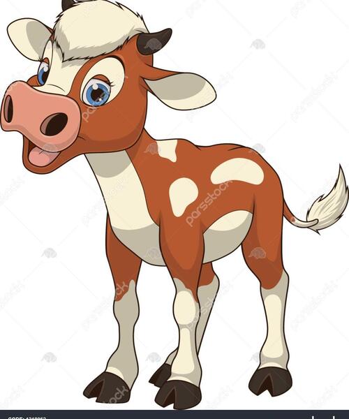 عکس گاو برای بچه