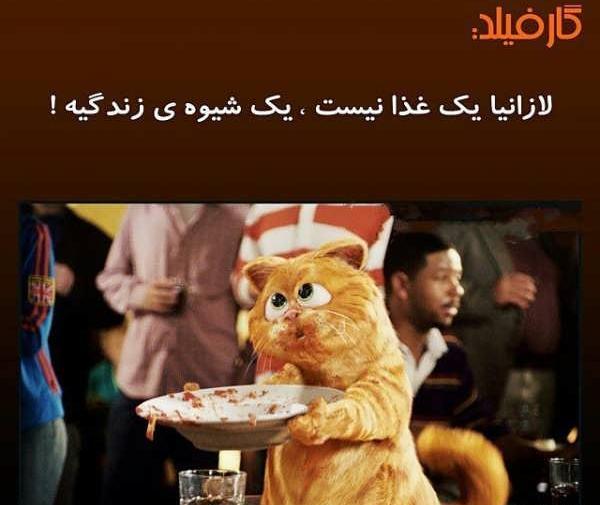 گربه عکس گارفیلد برای پروفایل