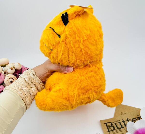 گربه عکس گارفیلد برای پروفایل