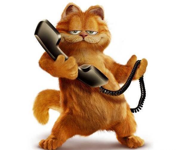 عکس های گربه گارفیلد