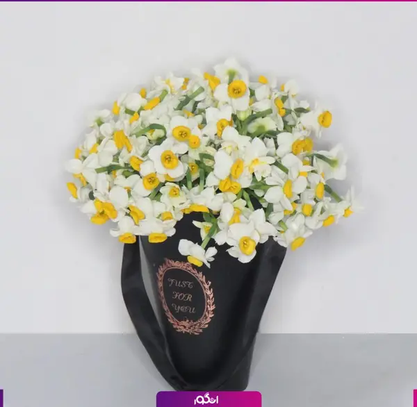عکس هنری با گل نرگس