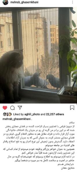 عکس گربه ی لات