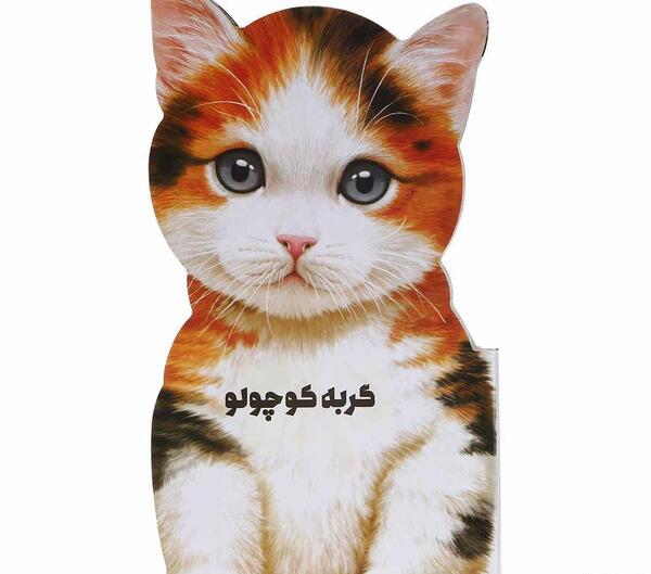 عکس گربه ی لیوانی