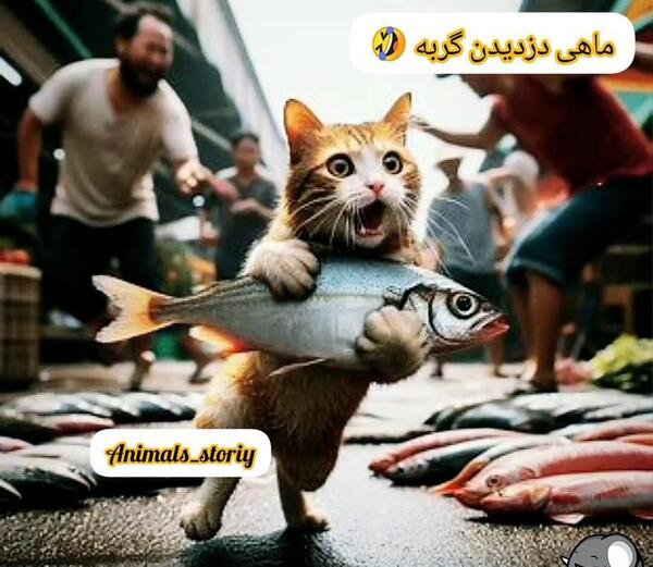 عکس گربه ماهی دزد