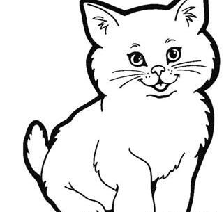 عکس نقاشی گربه ملوس و ناز