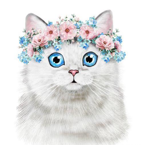 عکس نقاشی گربه ملوس و ناز