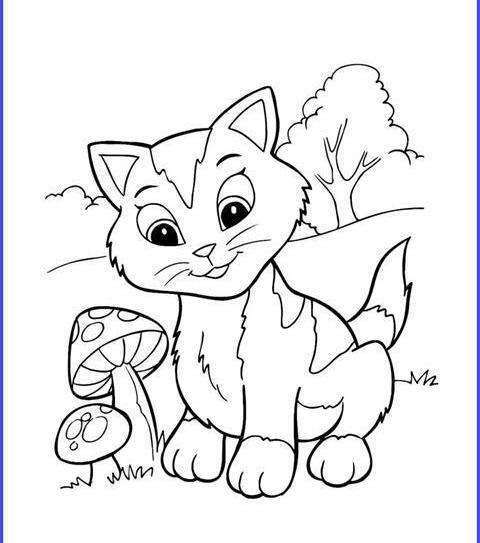 عکس گربه نقاشی کودک