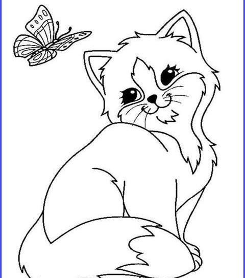 عکس گربه نقاشی کودکان