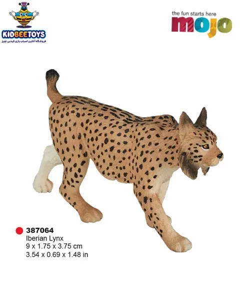 عکس گربه وحشی سیاه