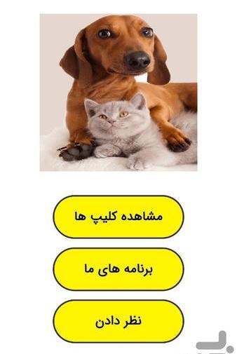 عکس گربه و سگ خنده دار