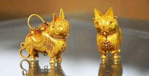 عکس گربه ی سیاه گوش