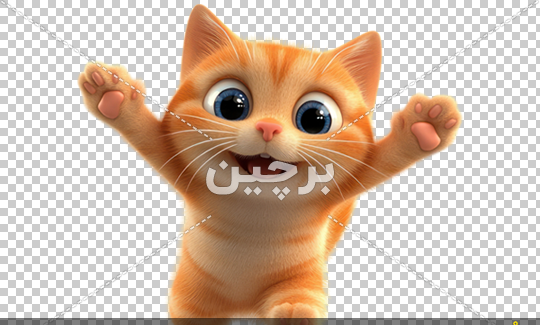 عکس گربه نارنجی بامزه