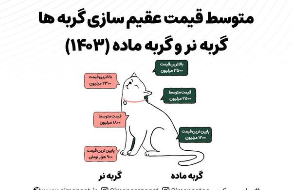 عکس گربه نر عقیم شده