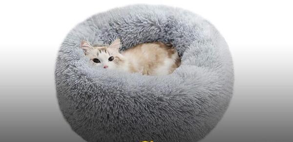 عکس گربه نرم