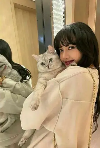 عکس گربه های لیسا بلک پینک