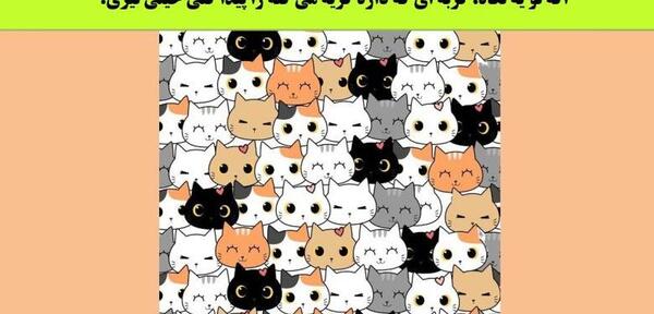 عکس گربه ی گریان