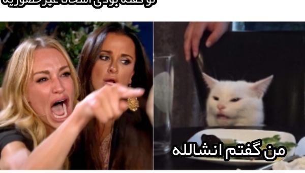 عکس گربه ی گریان