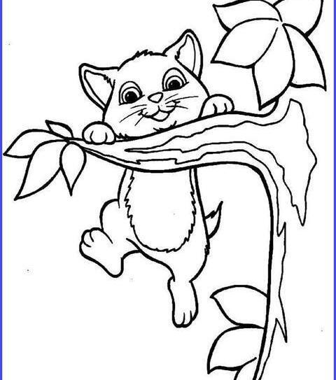 عکس نقاشی گربه ساده کودکانه