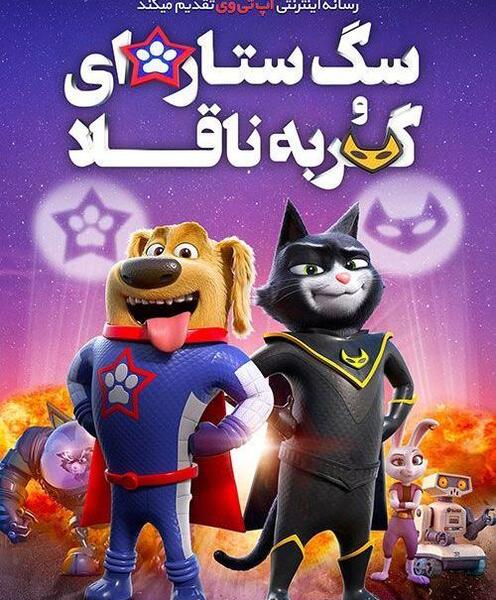 عکس گربه های قهرمان