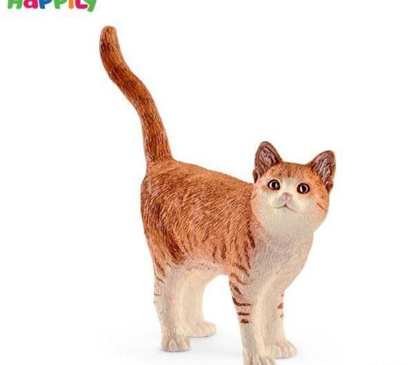 عکس گربه ی قهوه ای