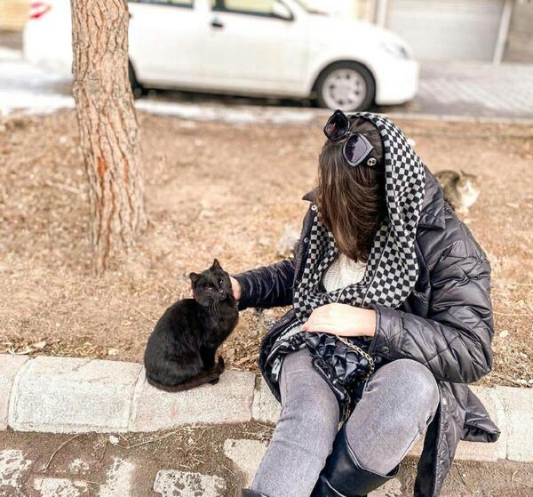 عکس فیک گربه خیابانی