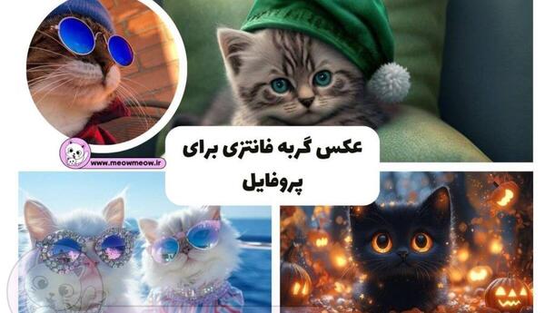 عکس فیک گربه پرشین