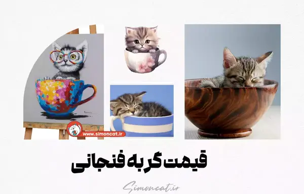 عکس بچه گربه فنجانی
