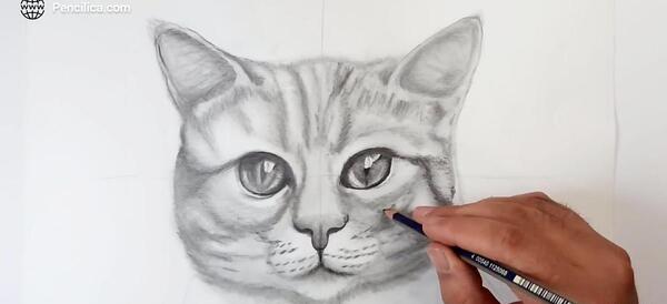 عکس گربه فانتزی سیاه