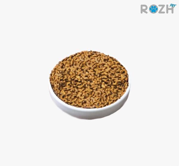 عکس غذای بچه گربه