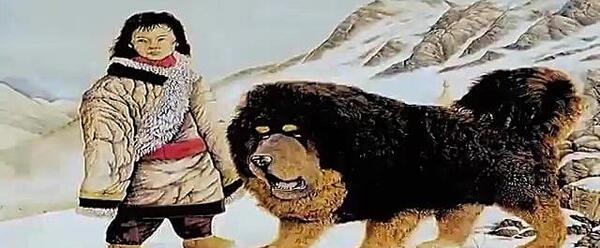 عکس غول پیکرترین گربه