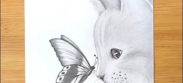 عکس طراحی گربه و پروانه