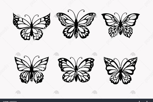 عکس طراحی گربه و پروانه