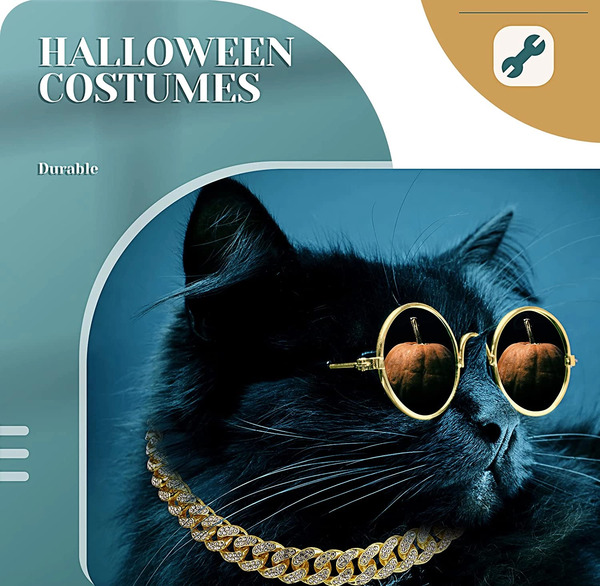 عکس گربه سیاه طلایی