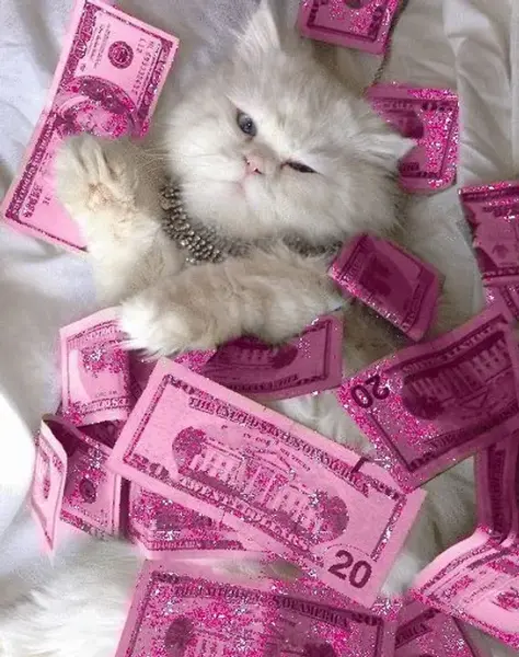 عکس گربه صورتی کیوت