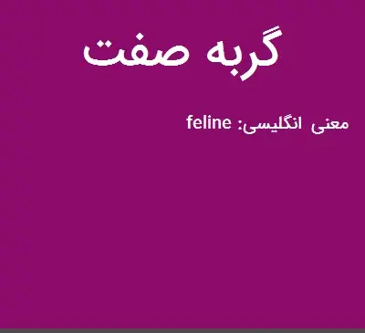 عکس نوشته ادم گربه صفت