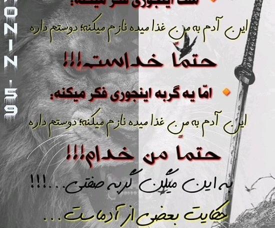 عکس نوشته ادم گربه صفت