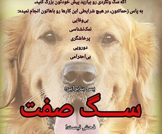 عکس نوشته ادم گربه صفت