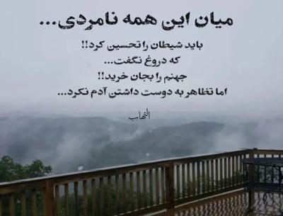 عکس نوشته آدمهای گربه صفت