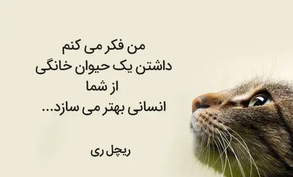 عکس نوشته آدمهای گربه صفت
