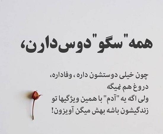 عکس نوشته آدمهای گربه صفت