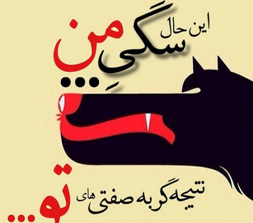 عکس نوشته آدمهای گربه صفت