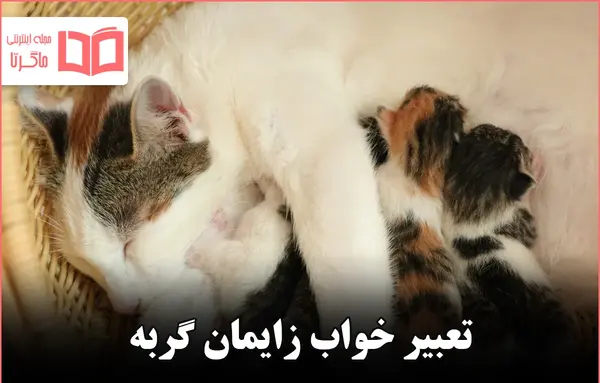 عکس نوشته در مورد گربه صفتی