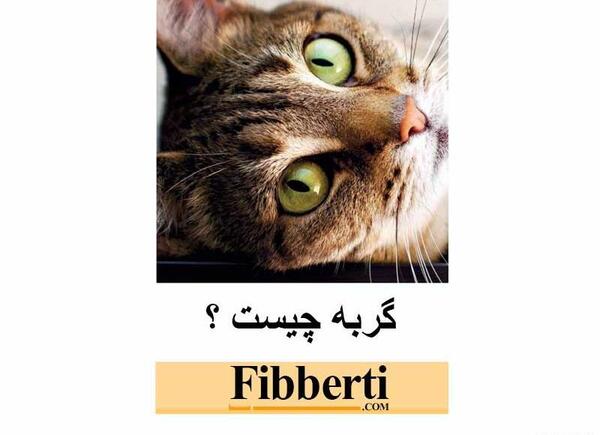 عکس نوشته در مورد گربه صفتی