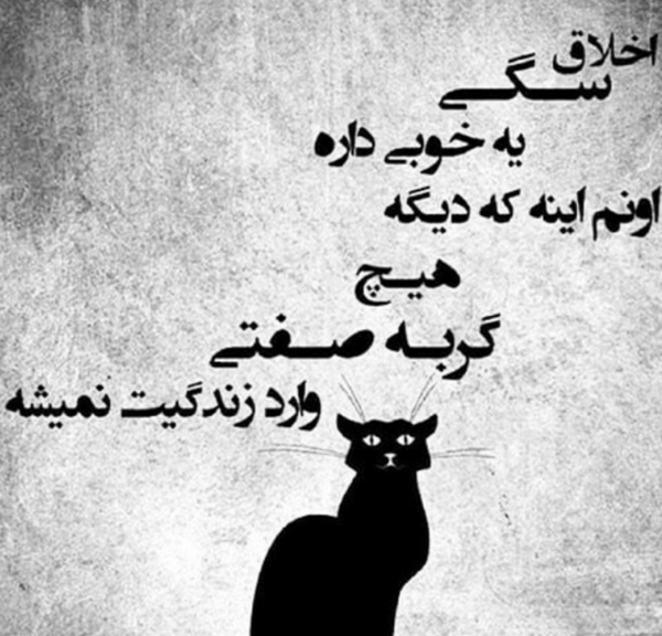 عکس نوشته در مورد گربه صفتی