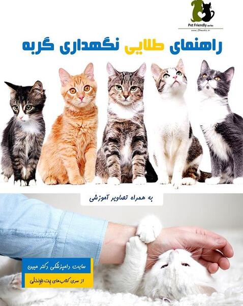 عکس بچه گربه زخمی