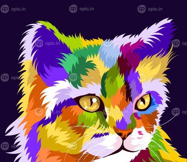 عکس گربه های رنگارنگ
