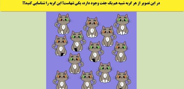جواب معمای گربه را در عکس پیدا کنید