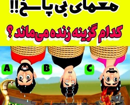 جواب معمای گربه را در عکس پیدا کنید